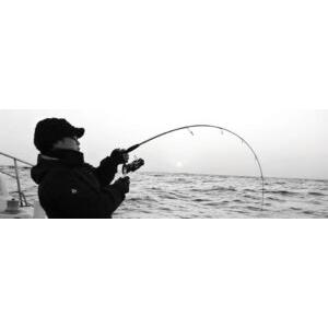 MCワークス DUAL EDGE641LR STANDARD MODEL : fishing shop Colony 