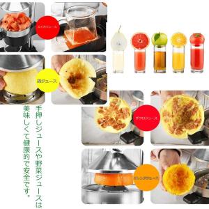 ハンドジューサー しぼり器果汁しぼり器 手で押...の詳細画像5