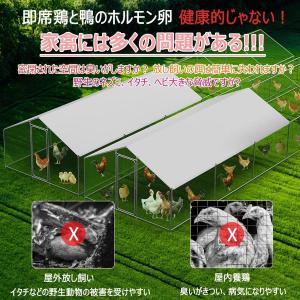 鶏小屋 屋外 堅牢構造 大型 鶏舎 鶏ペン 高...の詳細画像1
