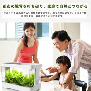 水耕栽培キット 栽培システム 健康 無土壌栽培...の詳細画像2