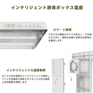 水耕栽培キット 栽培システム 健康 無土壌栽培...の詳細画像3