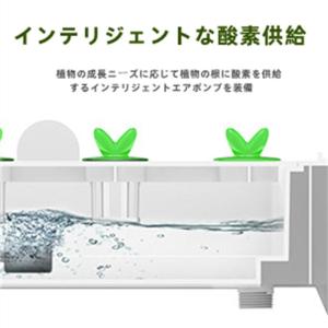 水耕栽培キット 栽培システム 健康 無土壌栽培...の詳細画像4