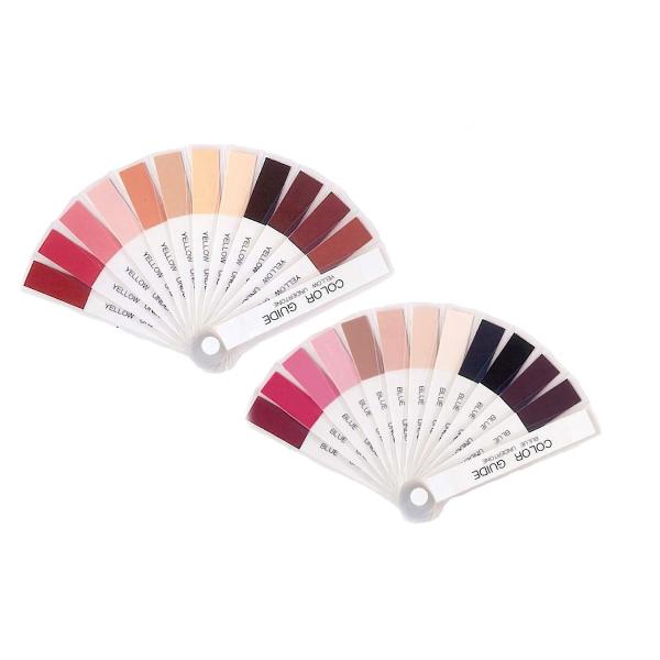 パーソナルカラー診断の際に髪・瞳・肌・頬・唇の色を分析する為のツール　カラースペース・ワム　オリジナ...