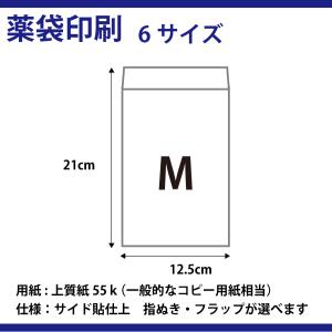 薬袋Sサイズ 12×16cm 5000枚 : カラーステーション - 通販 - Yahoo