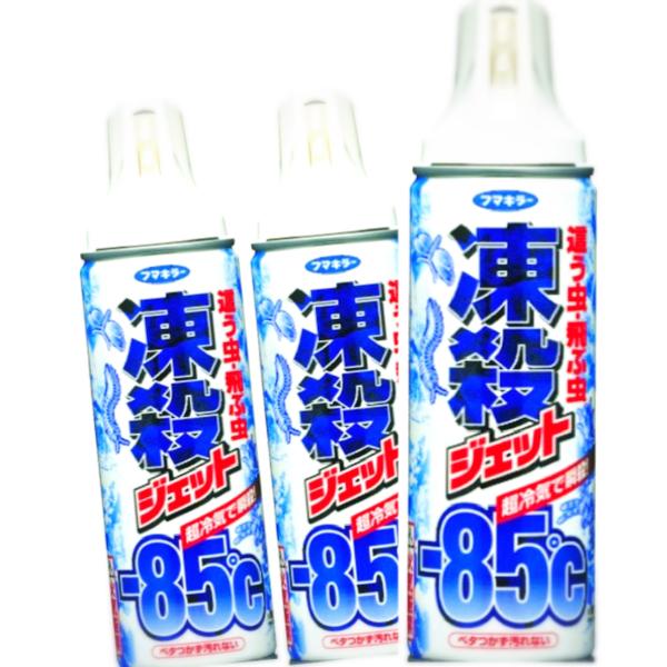 フマキラー 凍殺ジェット 這う虫・飛ぶ虫用 300ml 3本セット