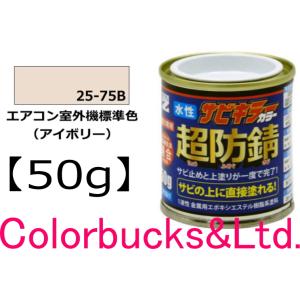 超防錆 サビキラーカラー】【エアコン室外機標準色 アイボリー】【50g