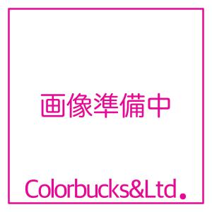 ジョリパット シルキーパレット　アイカ工業　JQ-55 各色　20kg｜colorbucks-outlet