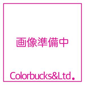 ペンキ屋さんセット用ツインホースセット　5Ｍ｜colorbucks