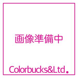 ペンキ屋さんセット用 交換用内袋(20枚入)