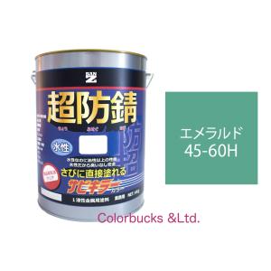 サビキラーカラー エメラルド 4kg 超防錆 水性防錆塗料  BAN-ZI｜colorbucks