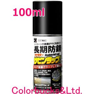 長期防錆 サビンラップスプレー 100ml シリコーン系コーティング剤 クリア つや有り BAN-ZI｜colorbucks