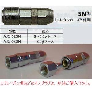 アネスト岩田 AJQ-03SN スーパーカプラ ソケット 8.5パイホース用