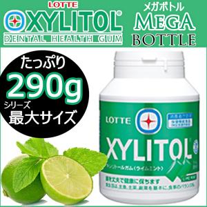XYLITOL ロッテ キシリトール ガム ライムミント メガボトル 290g 2個