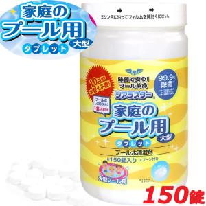 INTEX Krystal Clear C1000 プール用 循環ろ過式 フィルターポンプ