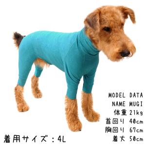 【正規取扱店】【送料無料】マンダリンブラザーズ...の詳細画像5