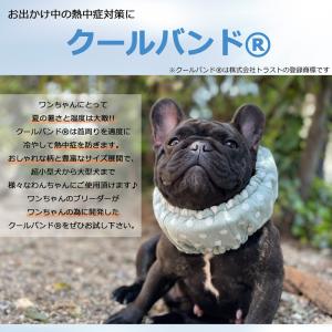 保冷剤付き【送料無料】クールバンド 保冷剤付き...の詳細画像1