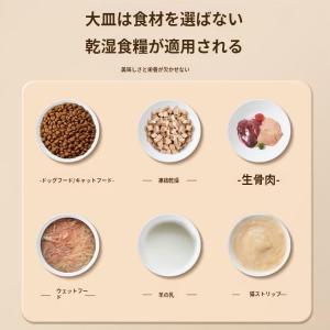 自動給餌器 オートペットフィーダー ペットフー...の詳細画像5