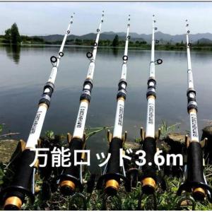 カーボンロッド 硬タイプ 海釣 川 初心者 振出 釣竿 サビキ釣り 遠投
