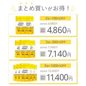 リポソーム ビタミンC サプリ 1000mg ...の詳細画像2
