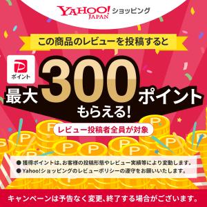 リポソーム ビタミンC サプリ 1000mg ...の詳細画像1
