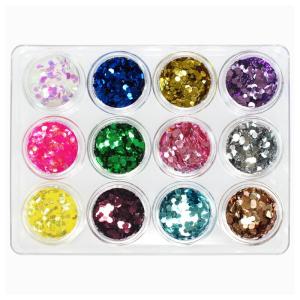 ネイル用品 2mm ホログラム 12色セット ジ...の商品画像