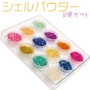ベルベットパウダー 12色セット ネイル用 ベロアパウダー 冬クリスマス