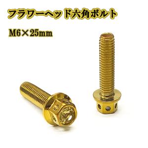 日野 グランドプロフィア ハイルーフ用 キャブバックハシゴ