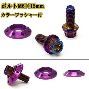 M6 15mm P1.0 フランジ付六角ボルト カラーワッシャー フジツボ 座面枠付 20mm ナンバー フェンダー 車 バイク 焼きチタン×パープル｜colorful-sp