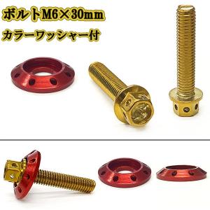 M6 30mm P1.0 フランジ付六角ボルト カラーワッシャー フジツボ 座面枠付 20mm ナンバー フェンダー 車 バイク ゴールド×レッド｜colorful-sp