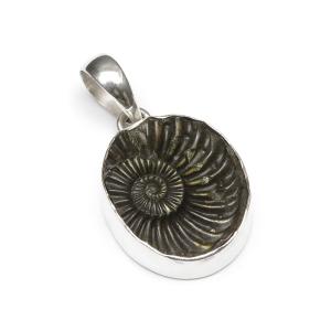 アンモナイト ペンダント ネックレス 化石 アンモン貝 Pendant 一点物