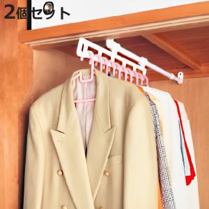 平安伸銅工業 押入れ収納 伸縮押入れ2連ハンガー ハンガーラック