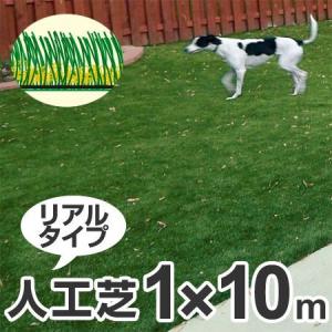 高級人工芝 リアリーターフ ミドルプラス パイル25mm 1m×10m ロール