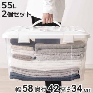 天馬 収納ボックス 幅58×奥行42×高さ34cm フタ付き 持ち手付き