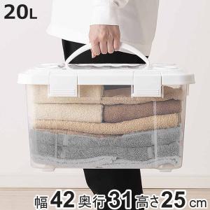 天馬 収納ボックス 幅42×奥行31×高さ25cm フタ付き 持ち手付き