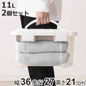 天馬 収納ボックス 幅36×奥行27×高さ21cm フタ付き 持ち手付き