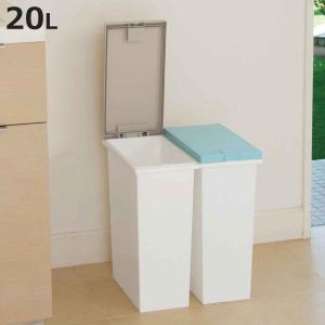 ゴミ箱 15L 分別 屑入れ 袋止め クリップ ごみ箱 ダストボックス