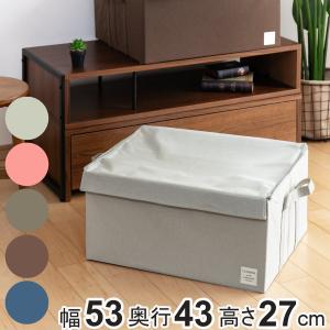 東洋ケース（TOYOCASE） 収納ボックス ストレリアナチュレ LL 幅53