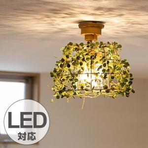 シーリングライト 3灯 毎週更新 フィットニア ボタニカル 天井照明 Led対応 Ct触媒 ライト 照明 おしゃれ