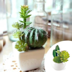 人工観葉植物 消臭アーティフィシャルグリーン サキュレントリフレリウム S タイプ２ （ 造花 フェイクグリーン インテリアフラワー ）