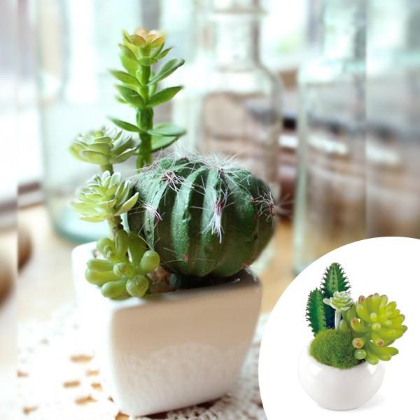 人工観葉植物 消臭アーティフィシャルグリーン サキュレントリフレリウム S タイプ２ （ 造花 フェ...