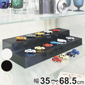 コレクションケース 47.9×32.9cm 壁掛け カバー扉 カード コイン 収納