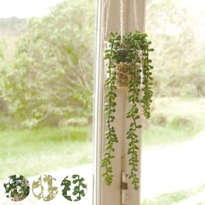 ストア・エキスプレス フェイクグリーン 観葉植物 フェイク 人工観葉