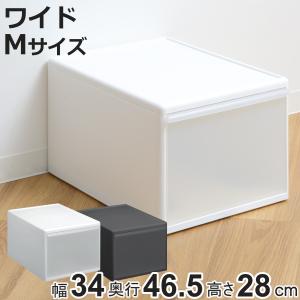 収納ケース ワイド L 幅34×奥行46.5×高さ28cm プラスチック 引き出し 収納 日本製 （ 収納ボックス 衣装 ケース クローゼット収納 ボックス 積み重ね ）｜colorfulbox