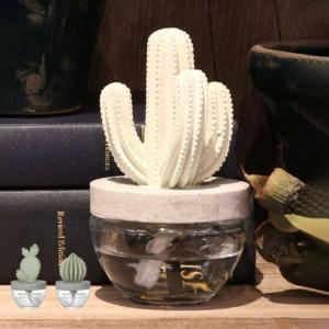 DULTON（ダルトン） ディフューザー カクタスフレグランス