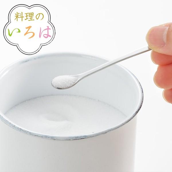 計量スプーン ミニ料理のいろは さじかげんミニスプーン ステンレス 燕三条製 （ スプーン スパイス...