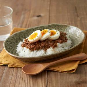 カレー皿 23cm 楕円 緑釉 皿 食器 陶器 美濃焼 日本製 （ 食洗機対応