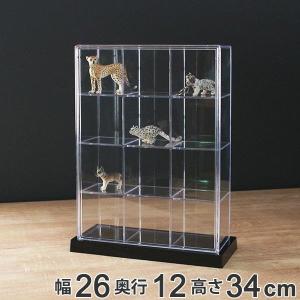 コレクションケース 88.3×28.3cm 壁掛け アクリルカバー パンフレット