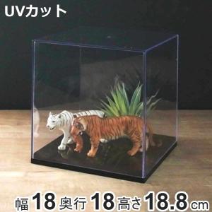 コレクションケース レギュラー 幅18cm 卓上 クリアケース クリア 透明