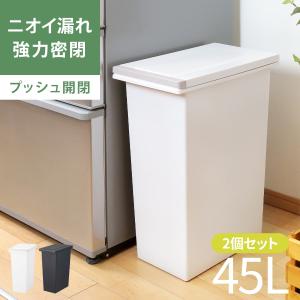 ゴミ箱 45L 同色2個セット 密閉プッシュペー...の商品画像