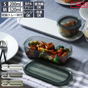 HARIO（ハリオ） 煎じ器 マイコン煎じ器 N 耐熱ガラス （ HARIO ハリオ
